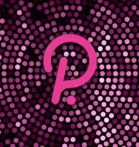 What Are Polkadot's Parachain Auctions?