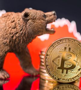 Bitcoin bear