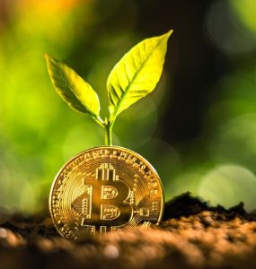 The Role of Green Cryptocurrency in Ecosystem Restoration and Conservation Efforts