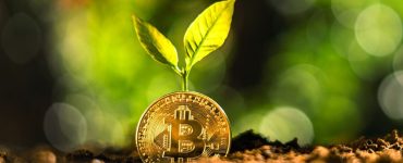 The Role of Green Cryptocurrency in Ecosystem Restoration and Conservation Efforts