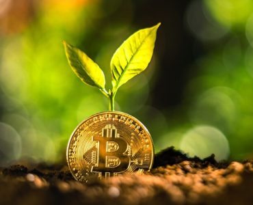 The Role of Green Cryptocurrency in Ecosystem Restoration and Conservation Efforts
