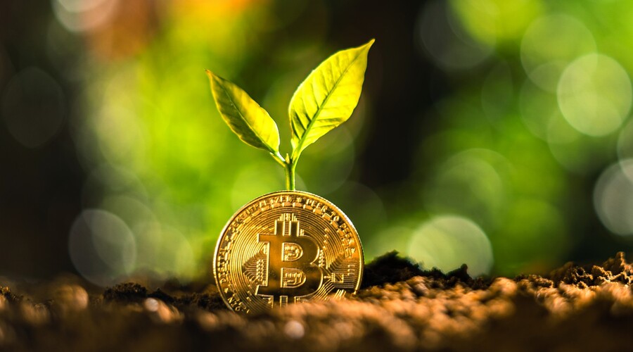The Role of Green Cryptocurrency in Ecosystem Restoration and Conservation Efforts