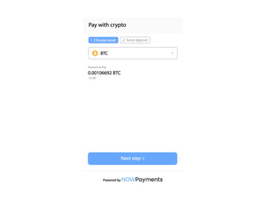 NOWPayments Introduces New Payment Widget as a New Year Gift for Merchants