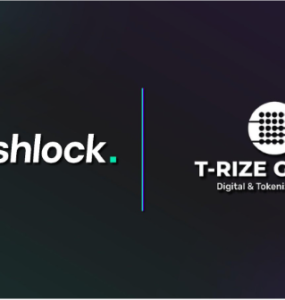Hashlock Audits Groundbreaking Decentralized Profile Smart Contracts for T-Rize Group and their Rizenet Governance Token (“RIZE”) smart contracts.