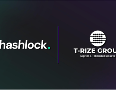 Hashlock Audits Groundbreaking Decentralized Profile Smart Contracts for T-Rize Group and their Rizenet Governance Token (“RIZE”) smart contracts.