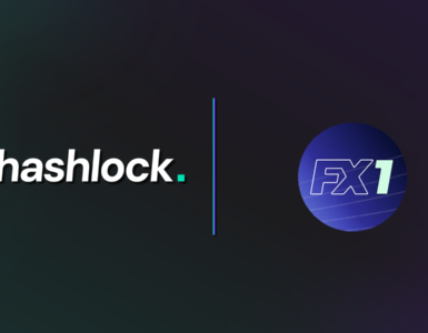 FX1 group partnered with Hashlock to conduct a security audit of their smart contracts.